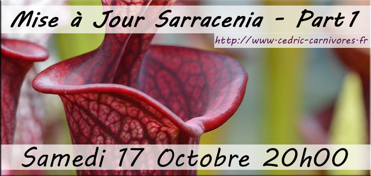 Rendez-vous samedi 17 octobre à 20h00 pile !